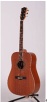 Acoustic guitar