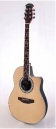 Ovation guitar