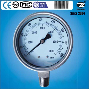 100 mm all stainless steel pressure guages