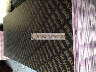 Film Faced Wood Size: 1220x2440mm, 1250x2500mm, or Customized and Thickness(mm): 9/12/15/18/21