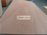 Bintangor Veneered Poplar Timber Commercial Plywood