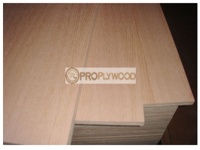Maple Plywood for Forniture and Construction/2mm-30mm. etc