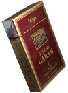 Gudang Garam Professional (5 Carton) - 101