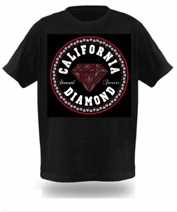 silk screen EL T shirt