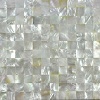 White lip shell mosaic tiles Australia deep sea shell for bathroom price
