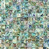 High-end New Zealand abalone mosaics mother of pearl shell mosaic tile