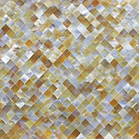 yellow lip sea shell