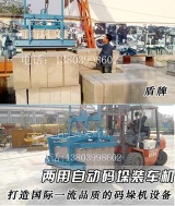 Foam Concrete Brick/CLC Brick Equipment, Stacking Machine