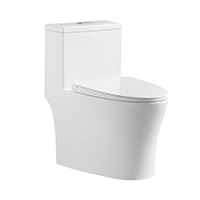 washdown one piece toilet
