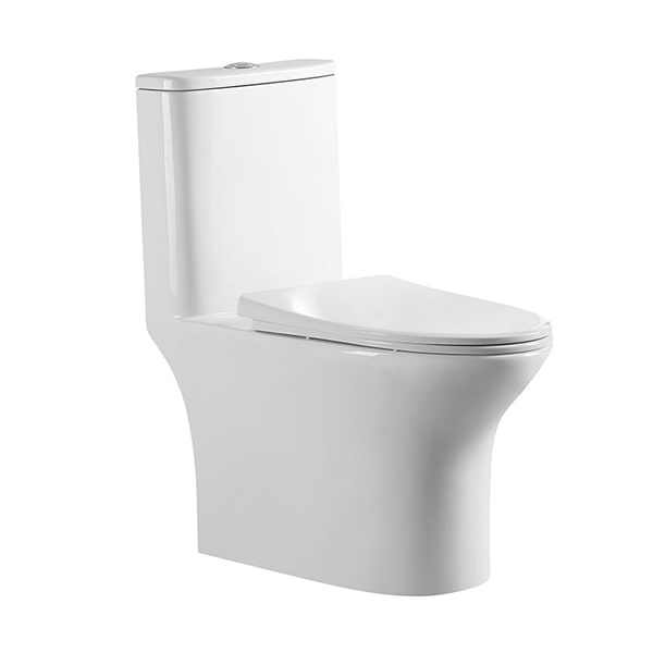 washdown one piece toilet