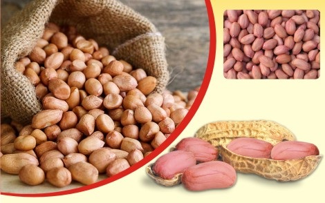 Sun Agri Industries is leading Manufacture & government recognized Exporters and Domestic Supplier of the Peanuts in INDIA, We located in Gondal (Gujarat), which is one of biggest hub of Agri Products in India & also our Saurashtra region is one of highest Groundnut (Peanut) growing area in Asia, We offer high quality.