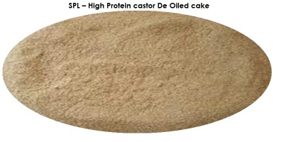 High Protein Castor De Oiled Cake