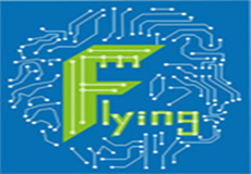 Shenzhen Flying Technology Co.,Ltd
