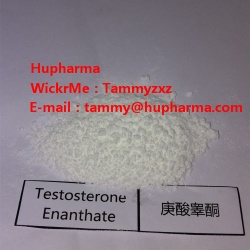 Hupharma Testosterone Enanthate injectable steroids Powder - Hupharma Testosteron
