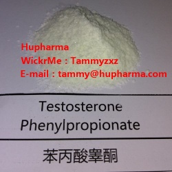 Hupharma Testosterone Phenylpropionate injectable steroids Powder