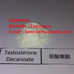 Hupharma Testosterone Decanoate injectable steroids Powder - Hupharma Testosteron