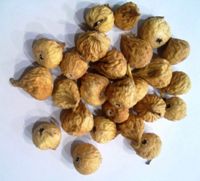 Quality Dried Figs for Sale