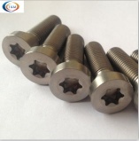 ISO14580 TORX CHEESE HEAD TITANIUM SCREWS&nbsp;-&nbsp;Ti-231