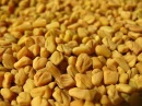 FENUGREEK SEED