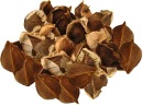 Moringa Seeds
