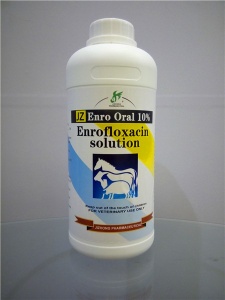 Enrofloxacin Injection - Enrofloxacin