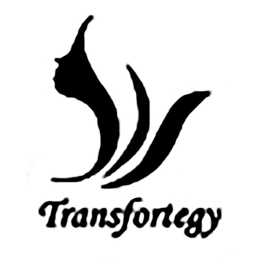 Guangzhou Transfortegy Clothing Co., Ltd.