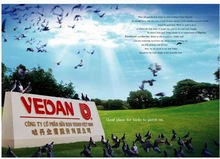 Vedan (VietNam) enterprise Corp., LTD