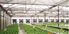 Horticultural Net(Indoor Screen)-Viewpoint