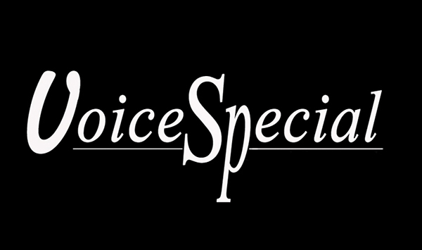 Voice Special Co.,Ltd