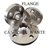 Pipe Flange