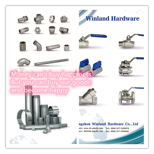 stainless steel pipe fittings and valves