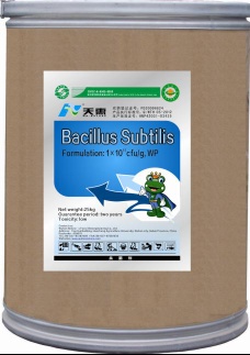 Specific Bacillus subtilis fermentation 100 billion cfu/g WP