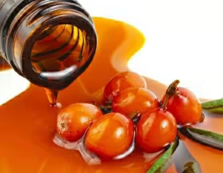 shanxiwutaimountainhippophaegoodsLTD