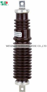 WenZhou ShuGuang Fuse Co., Ltd