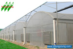 Longyoung Agricultural Technology Co.,Ltd.