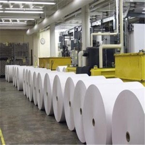 premium quality thermal paper in jumbo rolls