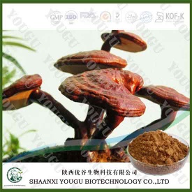China Herbal extract Reishi polysaccharides ganoderma lucidum extract Supplier