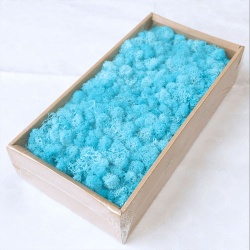 Wholesale Hot Selling Real Stabilized Lichen Reindeer Preserved Moss