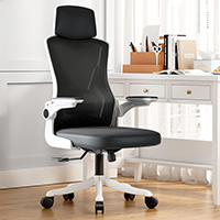Office staff chair