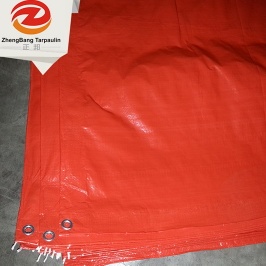 Clear green Eyelet tarpaulin China PE Tarpaulin plastic sheet