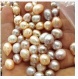www.zustec.com zustec freshwater pearl beads wholesale