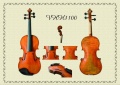 perfetto violin