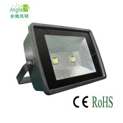 New Arrival 200W graden solar light