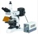 BestScope Excellent Upright Fluorescent Microscope with High Resolution Fluorescent Objectives