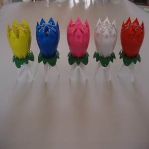 lotus birthday candle