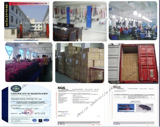 DeLin Umbrella(ShenZhen)Co.,Ltd