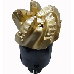 Insert natural diamond bit