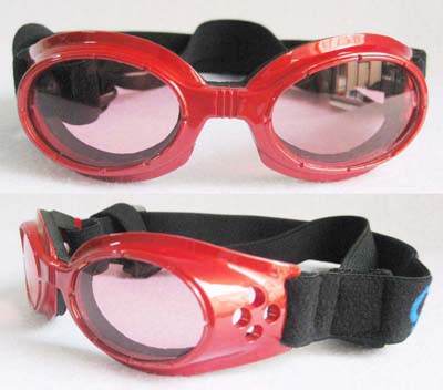 pet goggles