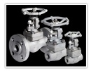 Gate, Globe, and Check valves according to standards such as API 600, API 602, and API 6D from size 1/4 to size 24 and clas - Gate, Globe, and Che