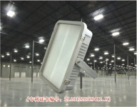 Multifunctional high luminous efficiency floodlight